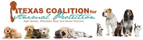 Texas coalition for animal protection - Specialties: TCAP is a recognized nonprofit that provides low cost, hiqh quality spays and neuters for dogs and cats. TCAP also provides a variety of affordable wellness services including low cost vaccines, deworming, microchipping, heartworm testing/ prevention, and dental cleanings. To help make these essential services available to families in need, TCAP's prices are, on average, 70% less ... 